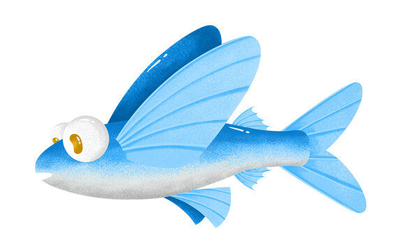 Hand drawn illustration of cute flyingfish with round eyes
