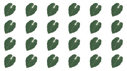 Minimalist monstera leaf seamless pattern. Seamless pattern of green tropical leaves isolated on white background. Organic nature and eco friendly concept illustration. Fresh botanical foliage motif. © Nurr2001