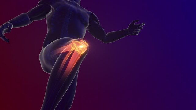 Pain in the knee joint