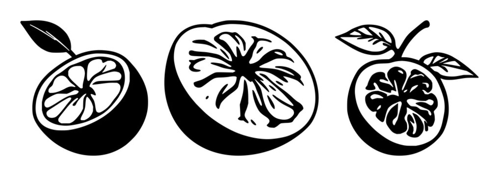 Passion fruit half set with solid black line illustration featuring exotic superfruit theme, graphic vector, isolation with fresh fruit and botanical style