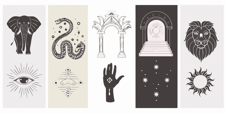 Collection of mystical illustrations featuring animals symbols and celestial elements