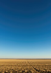 Fototapeta premium A wide, panoramic view of the distant horizon line separating the expansive, blue sky from the flat, open landscape below, ocean, design, scene