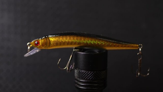 Fishing wobblers for predatory fish of various colors and patterns