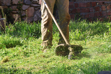 Fototapeta premium Garden maintenance concept with trimmer cutting green grass, Seasonal gardering work 