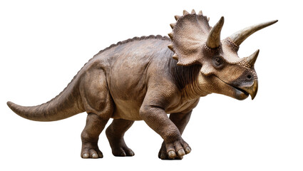 Prehistoric Triceratops dinosaur with majestic frill and three powerful horns © Lysander
