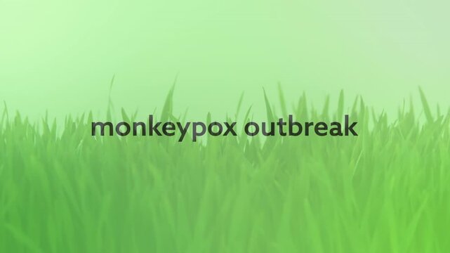 Thank invitation and celebration text against copy space on green background