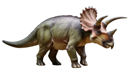 Majestic triceratops dinosaur, a powerful prehistoric horned creature on display © Eustace