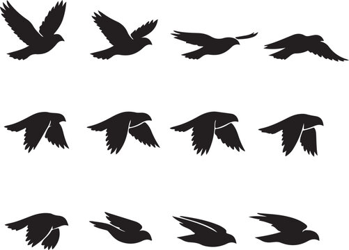 Bird Flight Animation Sequence Silhouette Vector