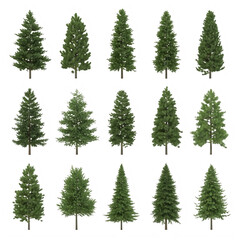 Obraz premium A collection of pine trees with varying shapes and sizes