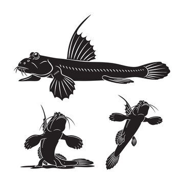 Mudskipper Three Pose Land Skip Silhouette Vector Collection