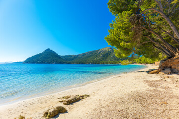 Obraz premium Playa de Formentor, Mallorca, Balearic Islands, Spain