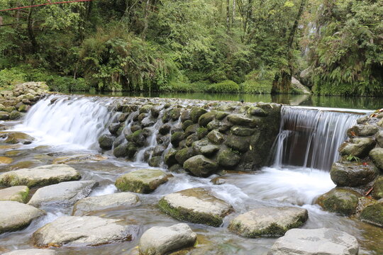 small waterfall in the forest