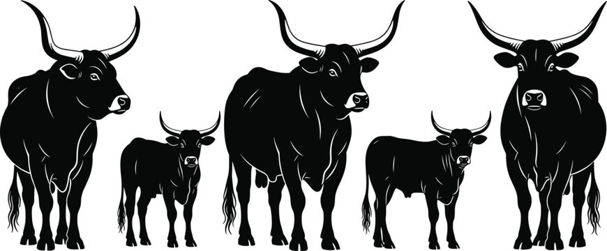 Black and White Silhouette Illustration of Ankole-Watusi Cattle Family with Long Horns Isolated on White Background for Farm Branding