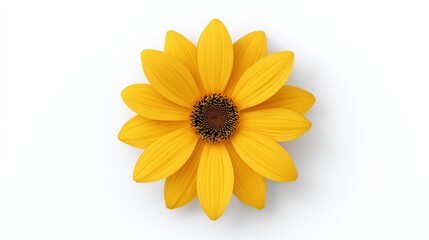 Obraz premium A single, vibrant yellow flower with a dark center, beautifully isolated on a clean white background. A perfect image of simplicity and nature's beauty.