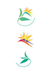Strelicja - logo, ilustracja wektorowa © lucja_lusilas.pl