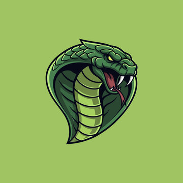Fierce Green Cobra Head with Open Mouth and Fangs.
