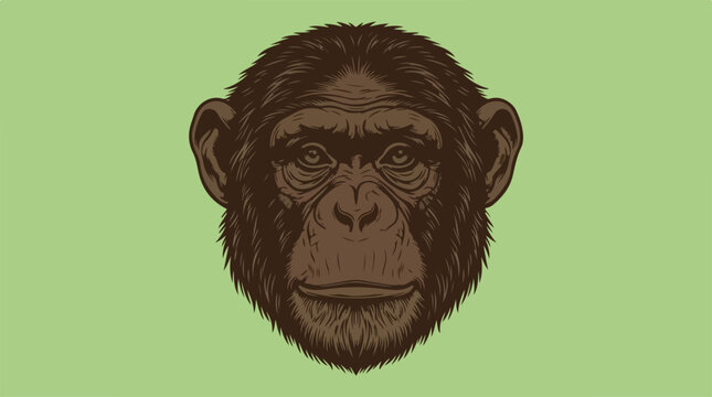 Chimpanzee Face Closeup Illustration.