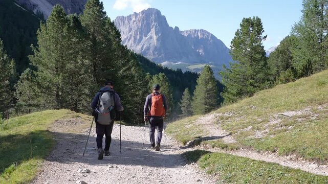 Hiker on a hike in Puez - Odle National Park. In the background, the Langkofel mountain massif. Italy. Dolomites.