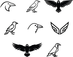 Obraz premium Black and white bird silhouettes and illustrations on white background