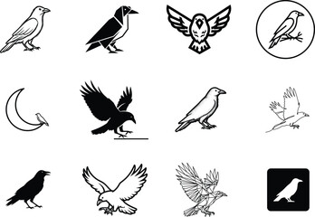 Fototapeta premium Various black and white bird silhouettes and illustrations on white background