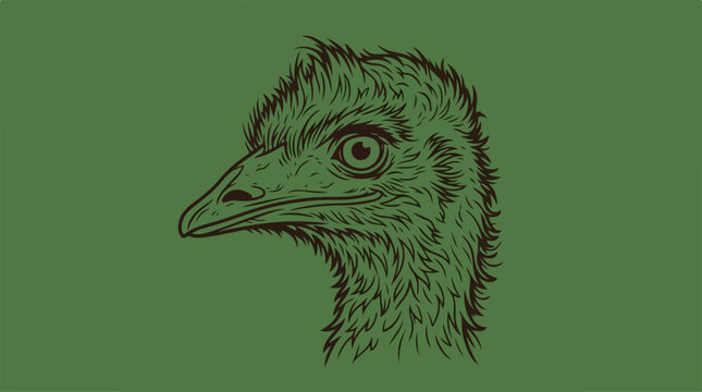 Detailed Emu Bird Head Portrait.