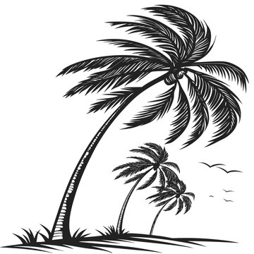 Palm trees blowing in the wind black silhouette windy