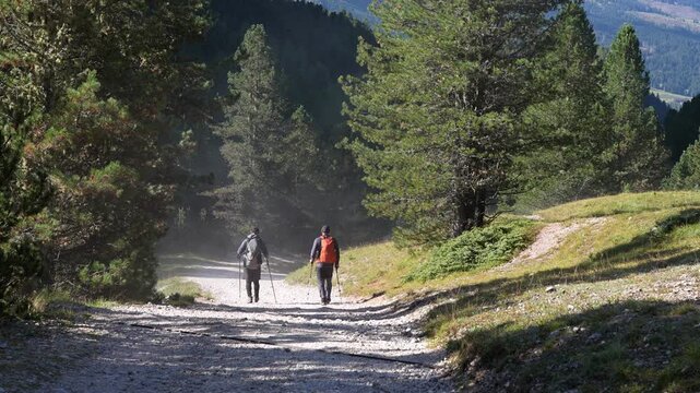 Hikers on a trek in Puez - Odle National Park head to the village of Santa Cristina in the Val Gardena valley. Italy. The Dolomites.