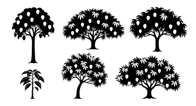 Mango Tree Silhouettes: Fruitful Plants and Tropical Nature Icons