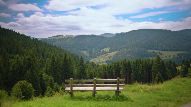 Bench in Black Forest Mountain Range Germany Schwarzwald
