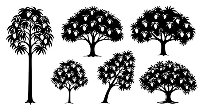 Mango Trees Silhouette Collection - Tropical Fruit Bearing Plants