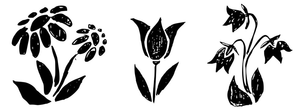 Hand drawn floral silhouette set in linocut style. Black and white rustic vector illustration of daisy, tulip and bellflower isolated on white