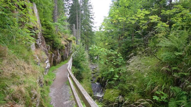 Hiking path at Menzenschwander cascade in Black Forest Germany Schwarzwald
