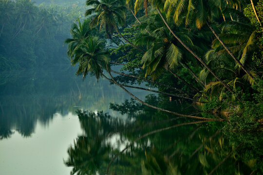 Serene Kerala Backwaters with Leaning Coconut Trees &ndash; Tropical River Landscape in South India