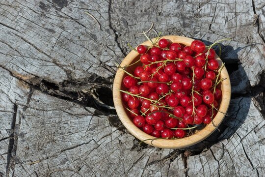 Gepfl&uuml;ckte rote Johannisbeeren in einer Holzschale.