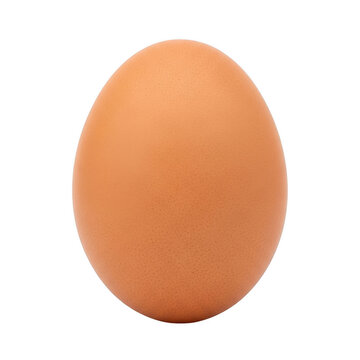 A single brown egg with smooth and slightly glossy surface
