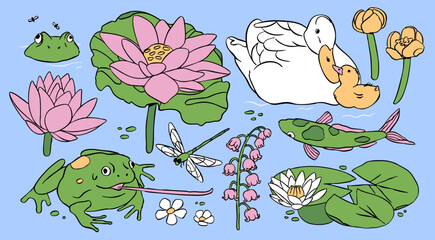 Summer, spring lake, pond. Spring nature symbols. Duck, frog, lotus flower, water lily, carp koi, lily of the valley, dragonfly. Hand drawn modern Vector illustration. Isolated design elements