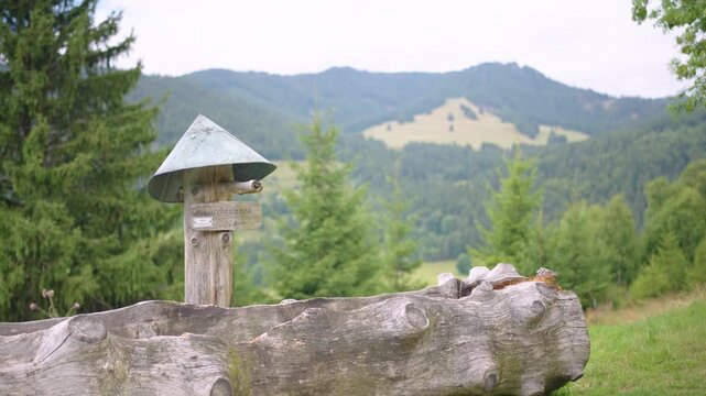 Tree drinking fountain in Black Forest Mountain Range Germany Schwarzwald