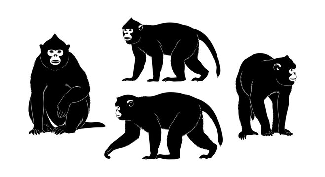 Silhouette macaques in various poses on white background