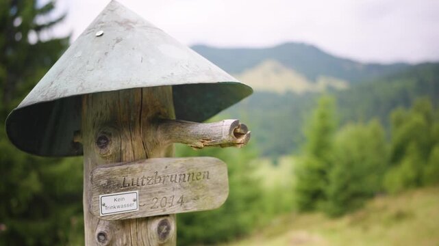Wood fountain top at Black Forest Mountain Range Germany Schwarzwald