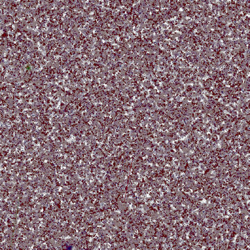 Cross Process Grain &mdash; Champagne isolated on transparent background with alpha channel