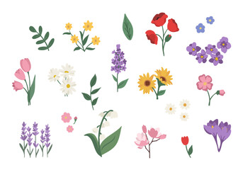Colorful spring flowers vector illustration set featuring various flowers and leaves with tulips sunflowers wildflowers lilac lavender poppy magnolia botanical illustration set, hand drawn flowers © Laure