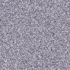 Obraz premium Cross Process Grain — Cobalt isolated on transparent background with alpha channel