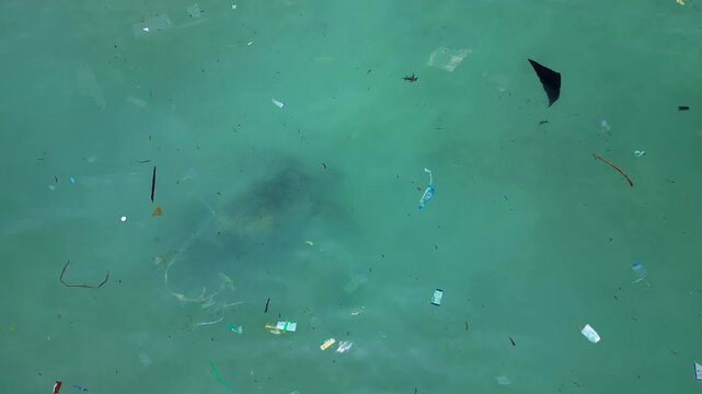big sea turtle swimming among plastic ocean pollution. Amazing aerial view drone