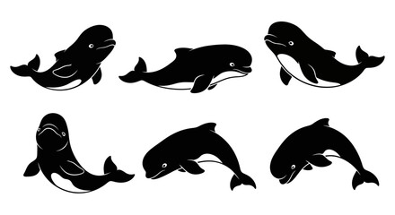 Obraz premium Set of Six Black and White Illustrations of Cute Pilot Whales in Various Poses