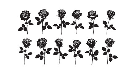 Obraz premium A beautiful arrangement of black roses on a white background for decoration isolated on transparent background