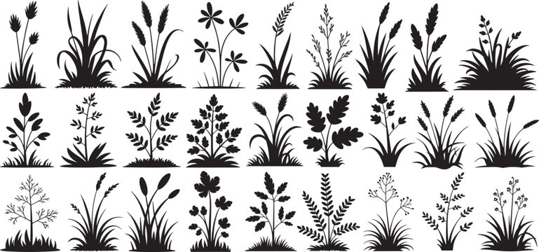 wild grass, meadow plants, and marsh reeds silhouette set. vector illustration