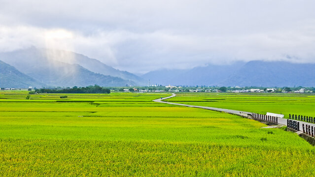Winding road through lush green rice fields with sun rays breaking through clouds in Chishang, Taiwan.