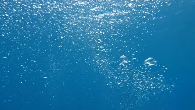 Underwater Bubbles Rising in Ocean.