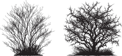 Obraz premium silhouettes leafless bare trees or bushes set, leafless bushes vector set,