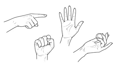 Fototapeta premium Detailed vector set of female hands line art with different gestures isolated on white background